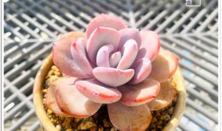 你是落在我世界里的一束光