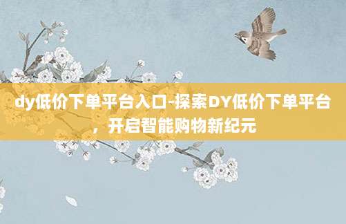 dy低价下单平台入口-探索DY低价下单平台，开启智能购物新纪元