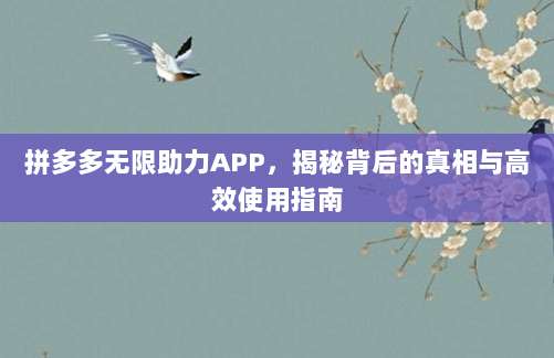 拼多多无限助力APP，揭秘背后的真相与高效使用指南