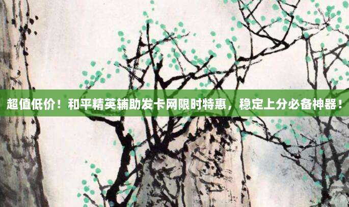超值低价！和平精英辅助发卡网限时特惠，稳定上分必备神器！
