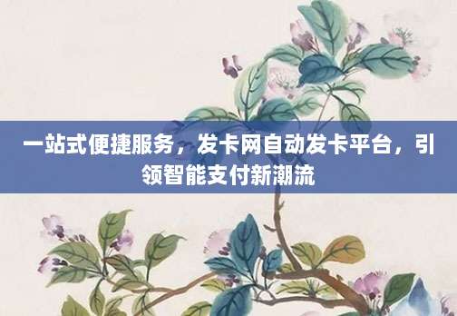 一站式便捷服务，发卡网自动发卡平台，引领智能支付新潮流