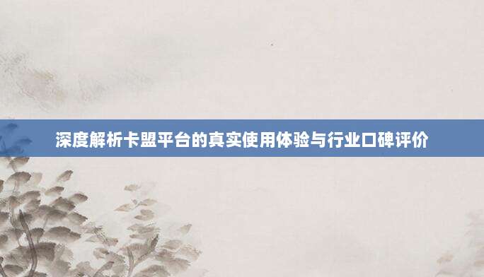 深度解析卡盟平台的真实使用体验与行业口碑评价