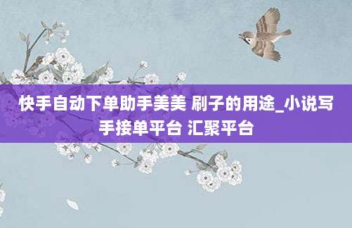 快手自动下单助手美美 刷子的用途_小说写手接单平台 汇聚平台
