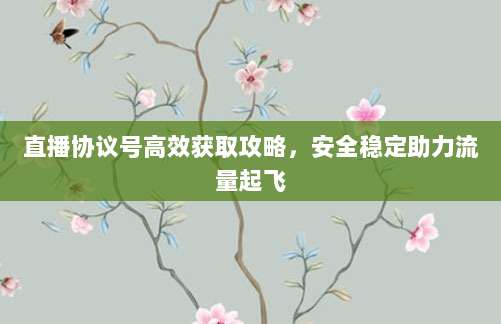 直播协议号高效获取攻略，安全稳定助力流量起飞