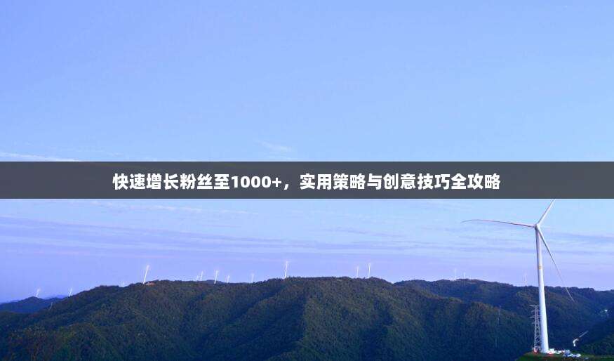 快速增长粉丝至1000+，实用策略与创意技巧全攻略