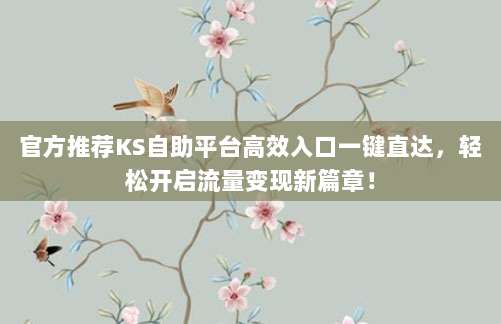 官方推荐KS自助平台高效入口一键直达，轻松开启流量变现新篇章！