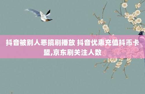 抖音被别人恶搞刷播放 抖音优惠充值抖币卡盟,京东刷关注人数