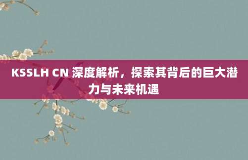 KSSLH CN 深度解析，探索其背后的巨大潜力与未来机遇