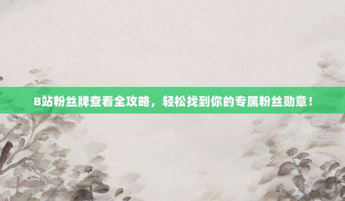 B站粉丝牌查看全攻略，轻松找到你的专属粉丝勋章！