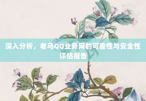 深入分析，老马QQ业务网的可靠性与安全性评估报告