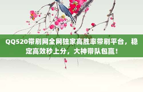QQ520带刷网全网独家高胜率带刷平台，稳定高效秒上分，大神带队包赢！