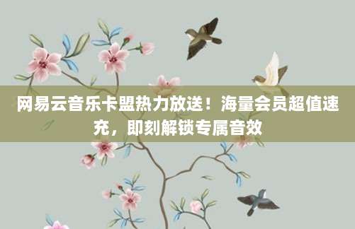 网易云音乐卡盟热力放送！海量会员超值速充，即刻解锁专属音效