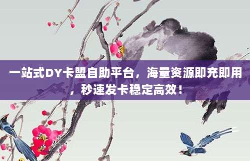 一站式DY卡盟自助平台，海量资源即充即用，秒速发卡稳定高效！