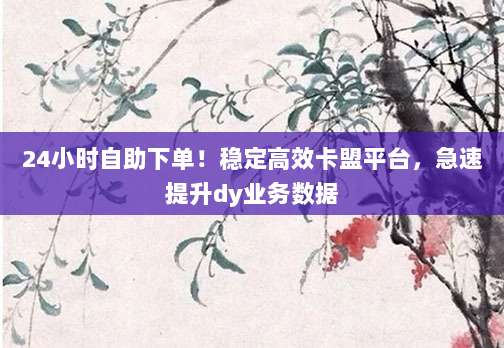 24小时自助下单！稳定高效卡盟平台，急速提升dy业务数据