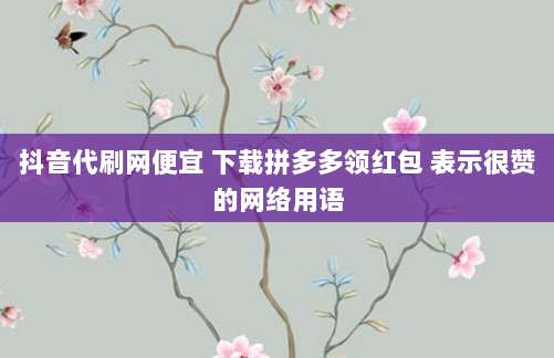 抖音代刷网便宜 下载拼多多领红包 表示很赞的网络用语